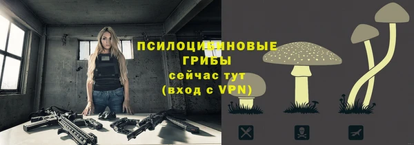 не бодяженный Няндома