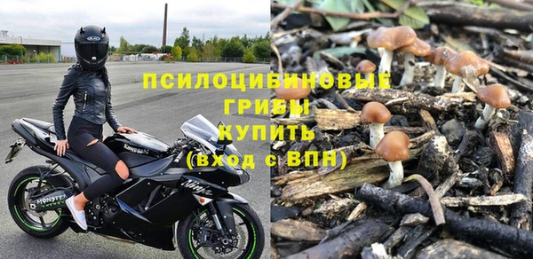 не бодяженный Няндома