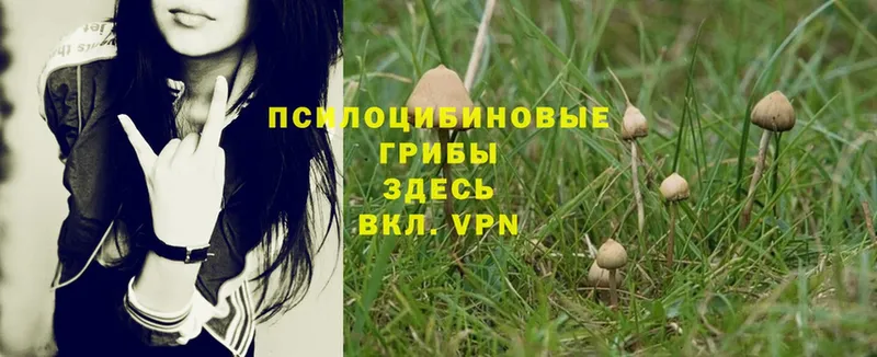 Псилоцибиновые грибы Magic Shrooms  мориарти клад  Ряжск 