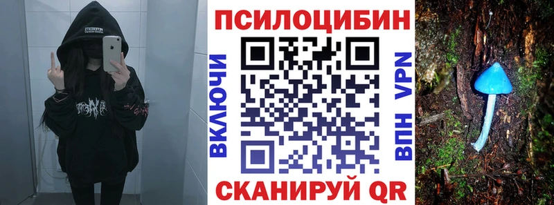 Галлюциногенные грибы Psilocybe  Ряжск 